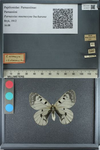 Media type: image;   Entomology 180077
